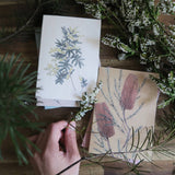 Banksia Portrait Card